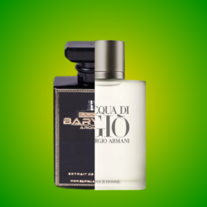 BR03 ( Inspired By Aqua di gio )