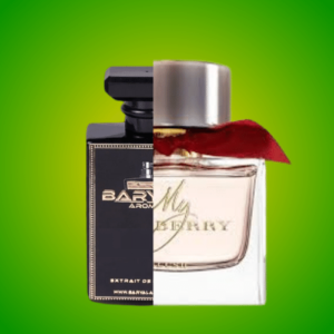 BR21 ( Inspired  by Burberry my Burberry )