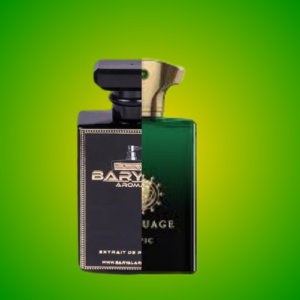 BR08 ( Inspired By Amouge epic man )